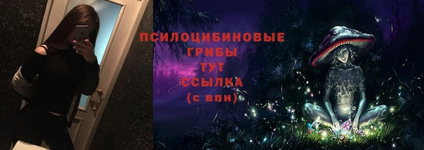 mdpv Иннополис