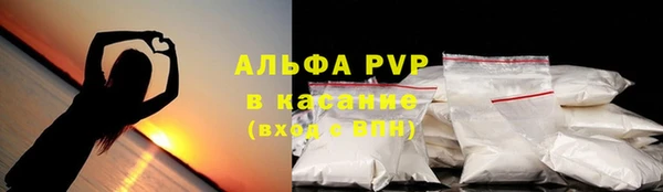 амф Инта