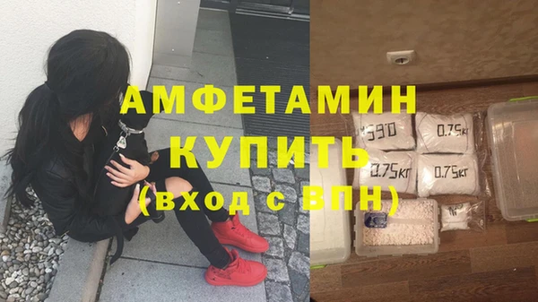 дмт Инсар