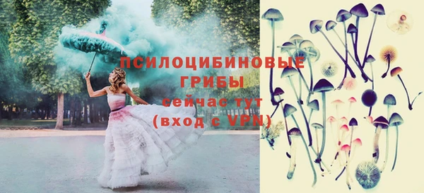индика Переславль-Залесский