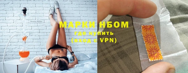 амф Инта
