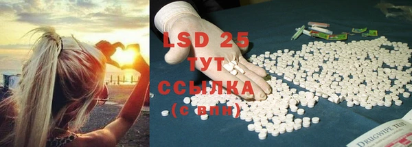 spice Покачи