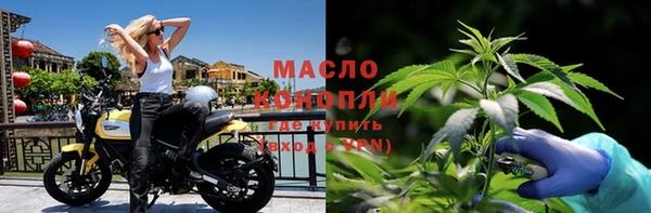 дмт Инсар