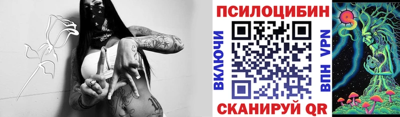 Купить где  Дальнереченск  Псилоцибиновые грибы мухоморы 